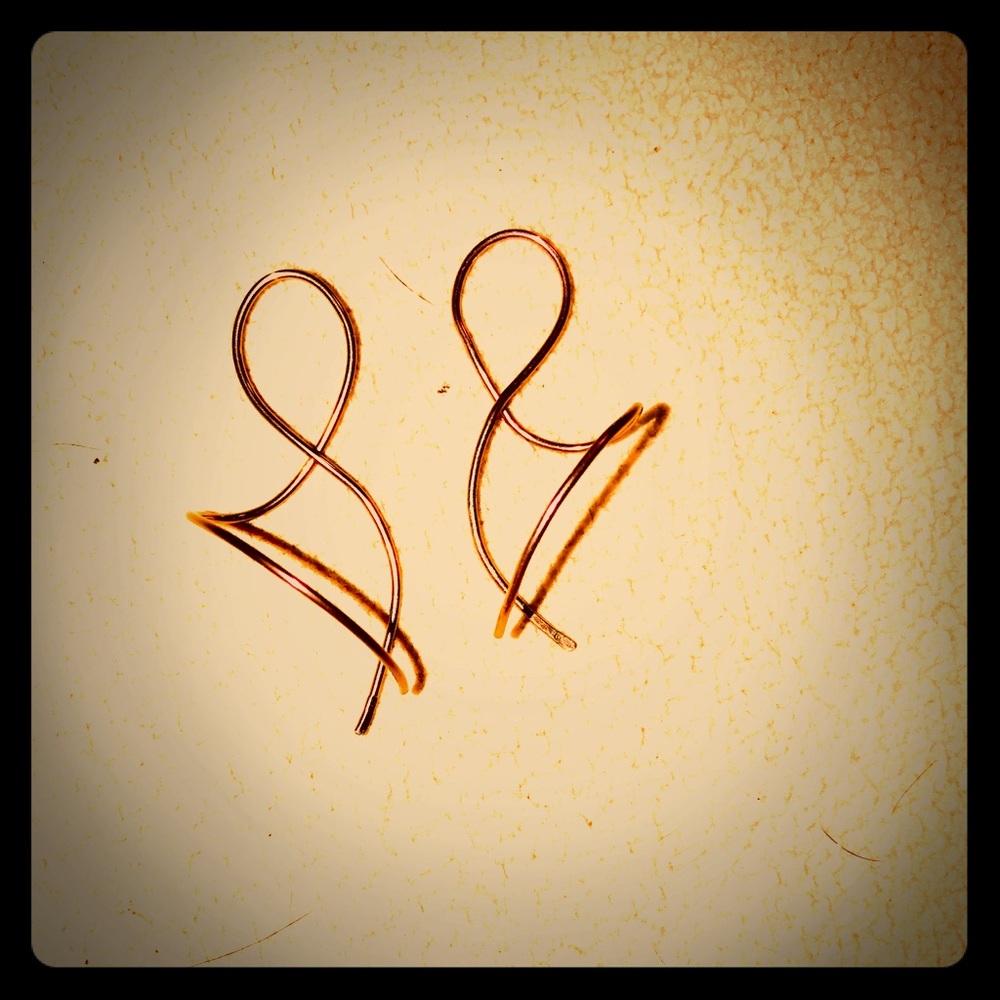 Rose Niobium Small Spiral Earrings